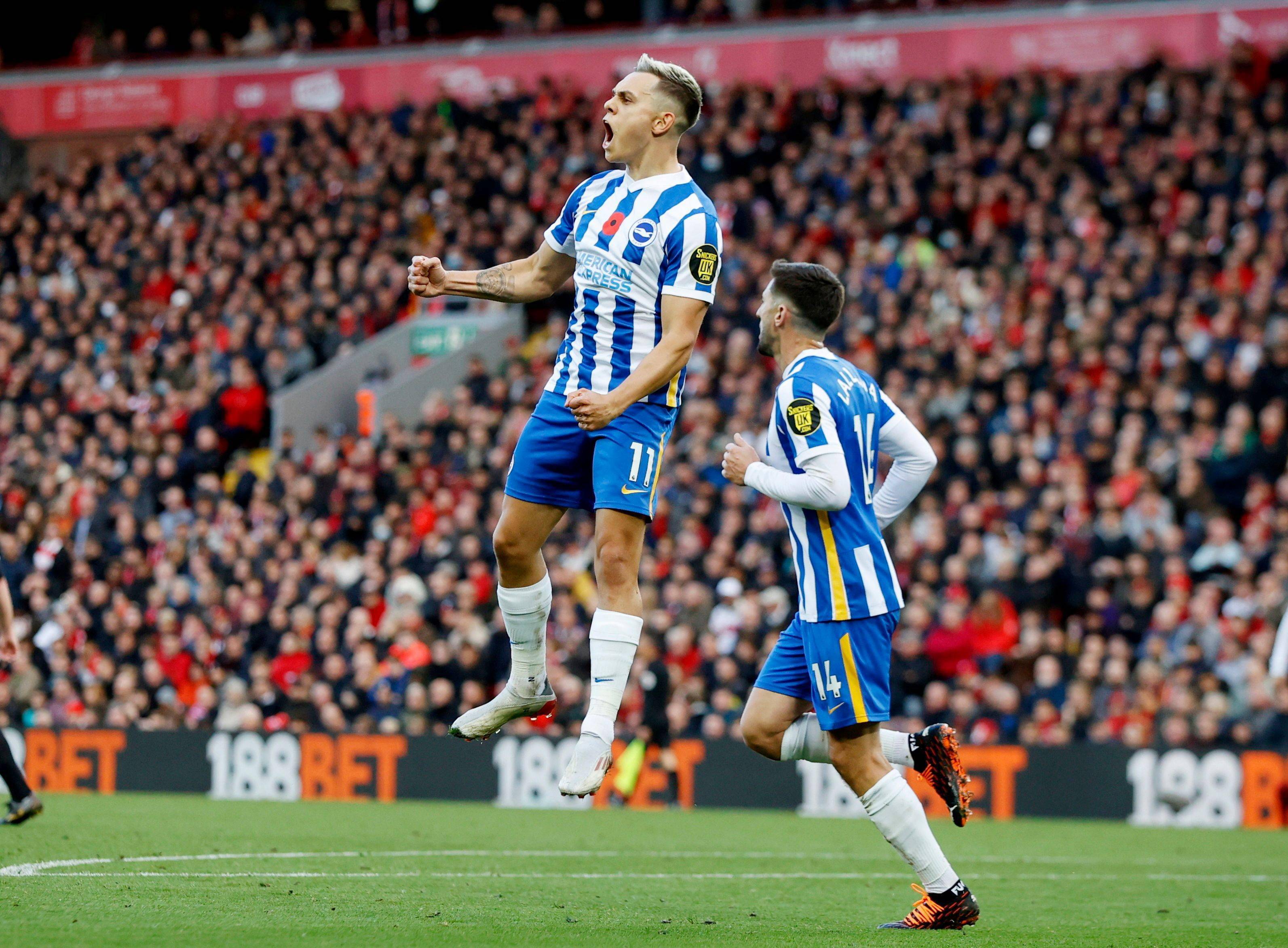 也能在球迷 也能在球迷